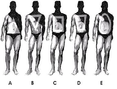 The Curvy & The Curveless: Male & Female Body Types: Guidelines (TT) Male Body Shapes, Summer Wedding Menswear, Types Of Clothing Styles, Dress Body Type, Inverted Triangle Body Shape, Triangle Body Shape, Body Types Women, Male Torso, Inverted Triangle