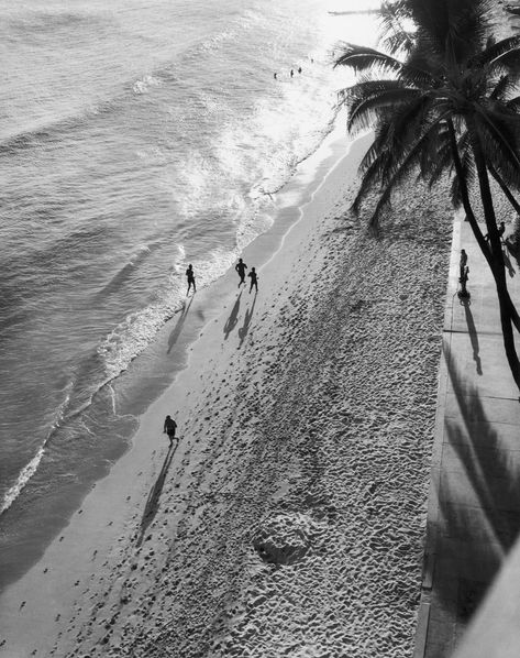 Why You Should Add Running on the Beach to Your Training Routine Madison Core, Beach Run, Beach Running, Honolulu Oahu, Training Routine, Running On The Beach, Hawaii Usa, Scene Image, Staying Healthy