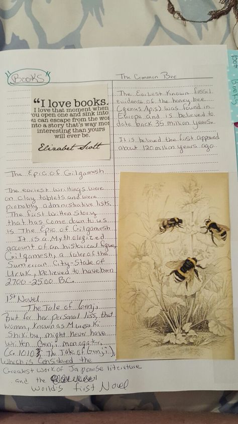 History of Books Common Bee Common Place Book, Notebook Inspiration, Commonplace Book, Aesthetic Journal, Study Inspo, Romanticizing Life, Charlotte Mason, That Moment When, Studying Inspo