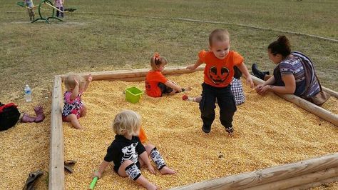 I don't want a sand box,  I want a corn box!!! Corn Pit For Kids, Maze For Kids, Childhood Summer, Grandma Ideas, Halloween Maze, Fall Market, Patch Ideas, Mazes For Kids, Future Vision