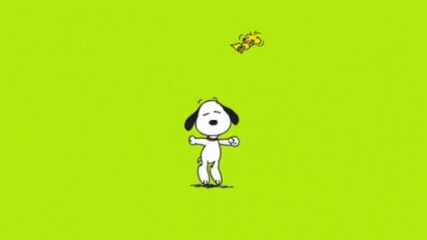 Snoopy Dancing, Peanuts Dance, Snoopy Sleeping, Snoopy Gif, Dance Gifs, Sleeping Gif, Snoopy Dance, Snoopy Cartoon, Animation Inspiration