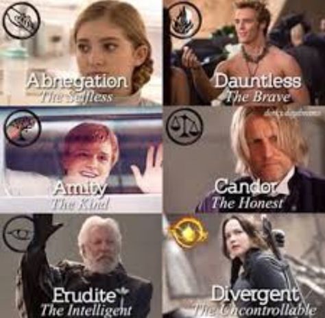 Divergent Memes, Divergent Hunger Games, Fandom Quotes, Hunger Games Memes, Hunger Games Quotes, Hunger Games Movies, Hunger Games Fandom, Hunger Games Humor, Hunger Games 3