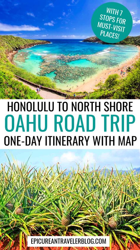 Honolulu to North Shore Oahu road trip one-day itinerary with map pin featuring images of snorkeling spot Hanauma Bay and Dole Plantation pineapple fields Oahu North Shore Day Trip, Hawaii Road Trip, Oahu Map, Oahu Activities, Oahu North Shore, Honolulu Vacation, Road Trip Stops, Hawaii Trip Planning, Hawaii Vacation Tips