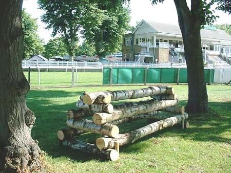 Logs stacked as a horse jump Front Yard Fencing, Yard Layout, Yard Fencing, Cross Country Jumps, Horse Jumps, Country Fences, Horse Exercises, Concrete Ideas, Front Yard Fence