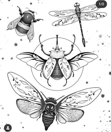 Beetle Tattoo Design, Cicada Tattoo, Pointillism Tattoo, Beetle Tattoo, Upper Back Tattoos, Bug Tattoo, Insect Tattoo, Stippling Art, Hawk Moth