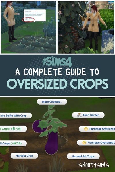 If the Sims 4 oversized crops perplex you, then read this guide on how to grow them! Then, we�ll let you know what to do with it afterward. The Sims 4 Tips And Tricks, The Sims 4 Tips, Sims 4 Tips And Tricks, Sims 4 Growing Together Cc, Sims 4 Tips, Sims 4 Growing Together, Sims Videos, Sims 4 Cheats, Sims 4 Challenges