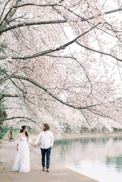 Dc Maternity Photos Washington, Cherry Blossom Engagement Photos, Cherry Blossom Photoshoot, Cherry Blossom Dc, Cherry Blossom Pictures, Bridal Business, Spring Maternity, Cherry Blossom Season, Spring Engagement