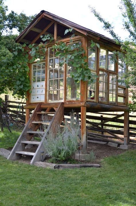 Serre Diy, Garden Sheds Ideas, Shed Inspiration, Simple Greenhouse, Sheds Ideas, Diy Sheds, Backyard Getaway, Backyard Gazebo, Small Greenhouse