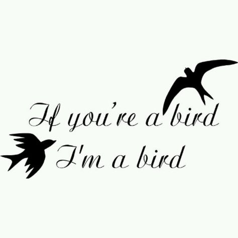 The Notebook Black Birds Tattoo, A Bird Tattoo, Bird Signs, Love Birds Quotes, Picture Of Birds, Birds Quotes, Feather With Birds Tattoo, Fly Drawing, Hope Floats