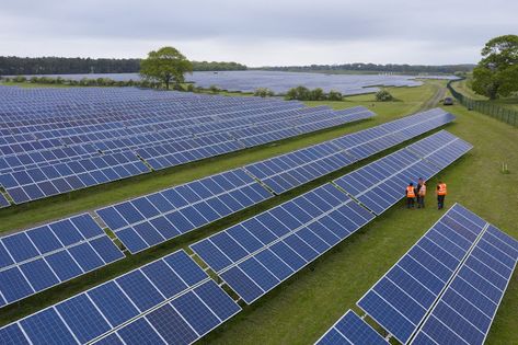 Legenda: Foto de uma das usinas solares que a Lightlource bp tem em vários países do mundo - Foto: Lightsource bp / DivulgaçãoEmpreendimento será fruto da parceria da Casa dos Ventos, do cearense Mário Araripe, e da petroleira britânica Lightsoucr bp. Deram-se as mãos a gigante brasileira Casa dos Ventos, controlada pelo cearense Mário Araripe, e a petroleira britânica Ligthsouce bp, que investirão R$ 800 milhões na construção de uma usina de geração de energia solar fotovoltaica com capacidade Roof Solar Panel, Solar Panels, Roof, Solar, Mural, Collage, Outdoor Decor, Pins, Quick Saves