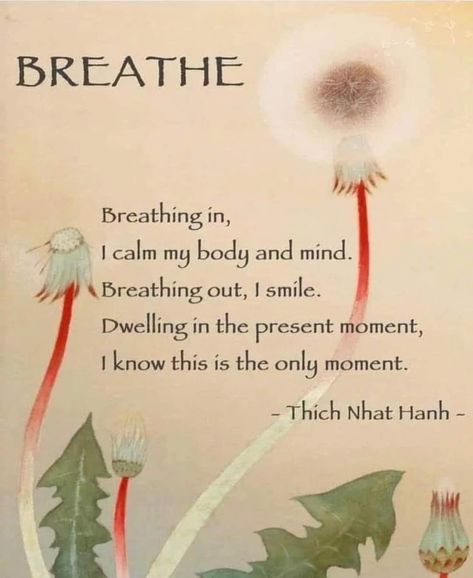 Zen Buddhism Quotes, Thich Nhat Hanh Quotes Mindfulness, Eckart Tolle, Thich Nhat Hanh Quotes, Buddhist Wisdom, Buddhism Quote, Buddhist Quotes, Thich Nhat Hanh, Pretty Pics