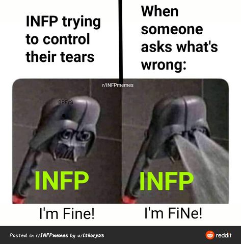 Infp Facts, Infp Personality Traits, Infp Problems, Infp T Personality, 16 Personality Types, Introvert Extrovert, The 16 Personality Types, Infp Personality Type, Mbti Memes