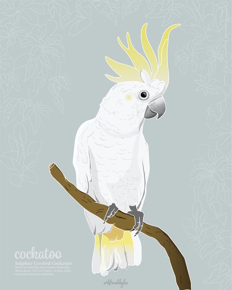 This digital art print would be perfect for a bird or tropical themed wall art decor for your home, and would also be a thoughtful gift for nature and bird lovers. It is a versatile image that would be ideal for a child's room or nursery as well. #sulphurcrestedcockatoo #sulphurcrestedcockatooillustration #cockatooillustration #cockatoo #parrots #birdart #kidsroom #digital illustration #kidsroomideas #bird #tropicalbedroom #tropical #junglenursery #nursery Cockatoo Illustration, Cockatoo Art, Minimalist Products, Tropical Bedrooms, Mosaic Birds, Jungle Nursery, Art For Home Decor, Wall Paintings, Bird Wall Art