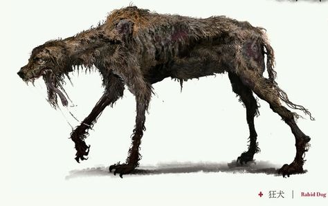 Rabid Dog | Bloodborne Wiki | Fandom Rabid Dog, Bloodborne Concept Art, Arte Zombie, Bloodborne Art, Zombie Art, Hunting Dog, Creature Drawings, Monster Concept Art, Bloodborne