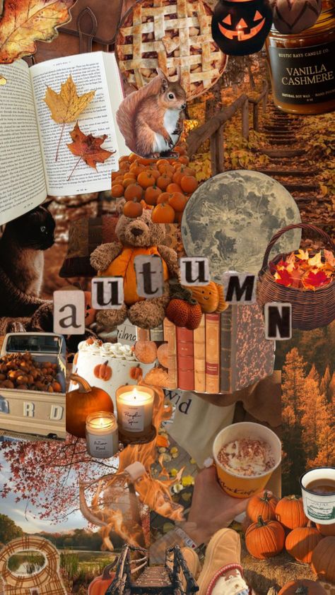 #autumn November Autumn Wallpaper, Autumncore Aesthetic, Lockscreen Autumn, Fall Esthetic, Thanksgiving Collage, Collage Autumn, Autumn Board, Autumn Collage, November Aesthetic