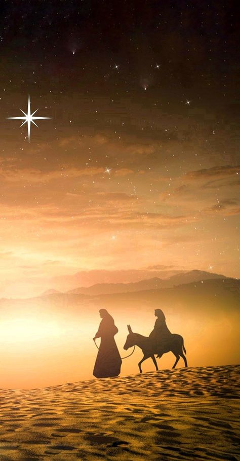 He Is Born Christmas, Silent Night Aesthetic, Nativity Wallpaper Iphone, Catholic Christmas Wallpaper, Holy Family Wallpaper, Christmas Nativity Wallpaper, Nativity Scene Wallpaper, Merry Christmas Nativity, Christmas Nativity Images