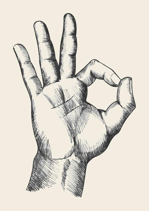 Hand Gesture Sketch Vector Gesture Sketch, Hand Gesture Drawing, Hand Gestures, Hand Gesture, Pencil Drawings Easy, Gesture Drawing, Hand Sketch, Sketches Easy, Inspirational Art