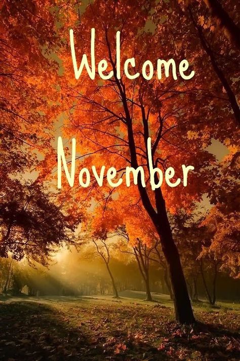 Hallo November, November Pictures, November Images, December Images, Neuer Monat, New Month Quotes, Welcome November, November Quotes, December Quotes