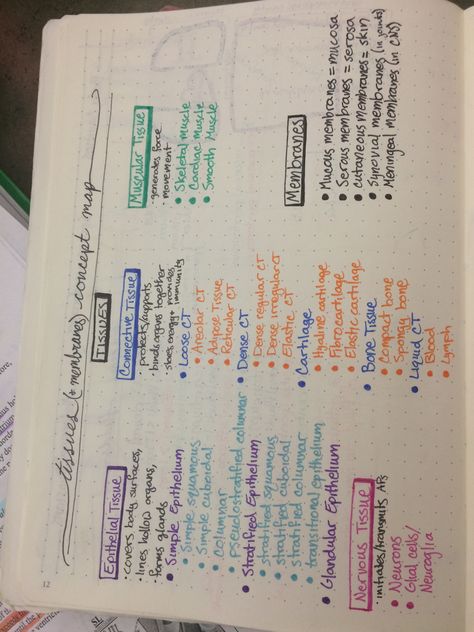 Tissues & membranes concept map Types Of Tissues Notes, Anatomy And Physiology Notes Tissues, Tissues Anatomy Notes, Muscular Tissue Notes, Anatomy Tissue Notes, Tissues Notes, Human Body Tissue, Tissue Biology, Anatomy Flashcards