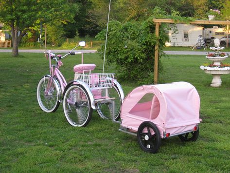 Custom Trikes, Adult Tricycle, Pink Bike, Pet Stroller, Cat Room, Cute Cars, Tricycle, Cool Cars, Dream Cars