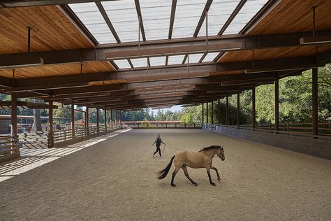 Indoor riding arena with open walls Luxury Horse Barns, Indoor Riding Arena, Modern Equestrian, Equestrian Stables, Equestrian Barns, Stable Style, Riding Arena, Classic Equine, Horse Barn Designs