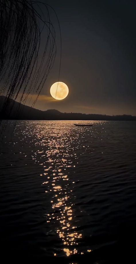 Full Moon Images, Full Moon Photography, Relaxing Pictures, Xiaomi Wallpapers, Fall Landscape Photography, Nature Background Images, Night Sky Wallpaper, Moon Photography, Sky Photos