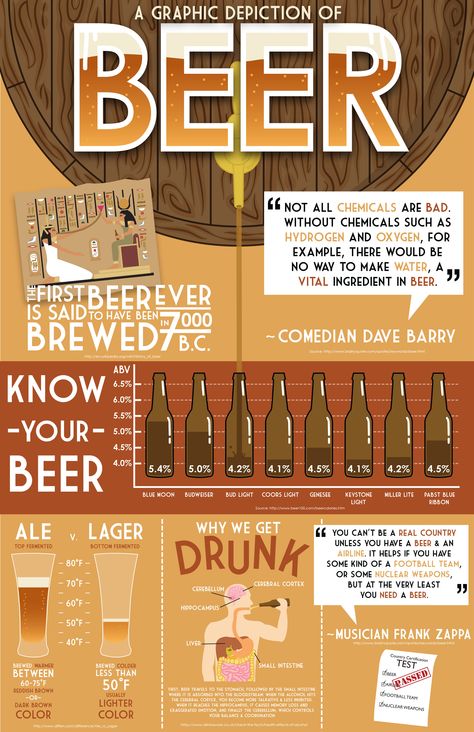 Beer Infographic-- information graphic on Beer- when it was first brewed, different alcohol percentages, effects on the body, etc. Beer Infographic Design, Alcohol Infographic, Chemistry Infographic, Beer Knowledge, Beer Infographic, Beer Facts, Alcohol Awareness, Effects Of Alcohol, Graphic Design Infographic