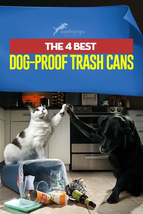 Top 4 Best Dog-Proof Trash Cans Dog Proof Trash Can, Most Expensive Dog, Expensive Dogs, Puppy Chew Toys, Messy Kitchen, Dog List, Dog Tips, Dog Crate, Top 4