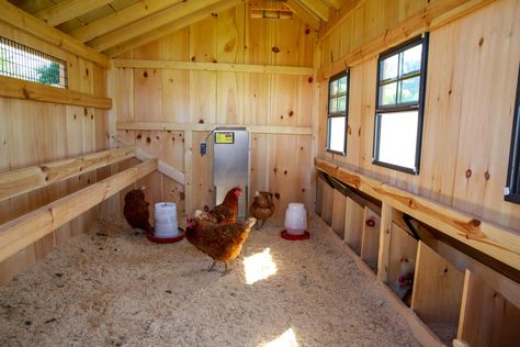 How To Convert A Shed Into A Chicken Coop, Chicken Coops Made From Sheds, Inside Chicken Coop Ideas Design, Shed Turned Into Chicken Coop, How To Turn A Shed Into A Chicken Coop, Old Shed Chicken Coop, Converting A Shed Into A Chicken Coop, Tuff Shed Chicken Coop, Turn A Shed Into A Chicken Coop