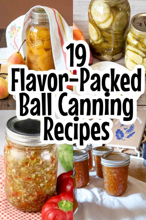 Fun Canning Recipes, Ball Canning Recipes, Salsa Canning Recipes, Sweet Salsa, Quick Pickled Red Onions, Ball Canning, Pressure Canning Recipes, Ball Canning Jars, Easy Salsa Recipe