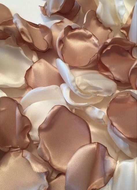 Blush Beige Aesthetic, Beige Baddie Aesthetic, Champagne Colour Aesthetic, Beige Business Aesthetic, Tan Astethic, Champagne Aesthetic Color, Beige Beauty Aesthetic, Soft Tan Aesthetic, Vanilla Aesthetic Color