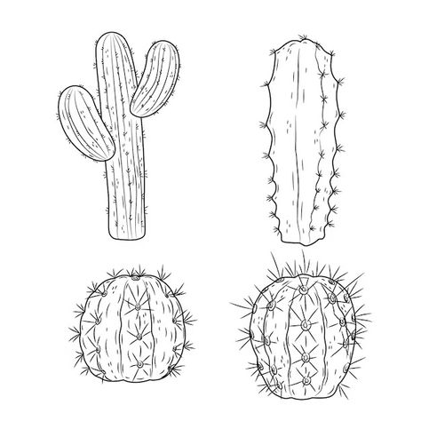 Free Vector | Free vector hand drawn cactus drawing illustration How To Draw Cactus, Cactus Drawing Simple, Cacti Drawing Simple, Class Sketch, Cactus Drawing, Cactus Pattern, Desert Cactus, Sketch Ideas, Drawing Images