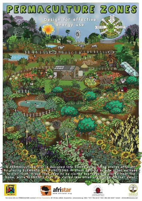 Food Posters, Permaculture Design, Permaculture Gardening, Food Forest, Forest Garden, Food Garden, Community Gardening, Urban Farming, Veggie Garden