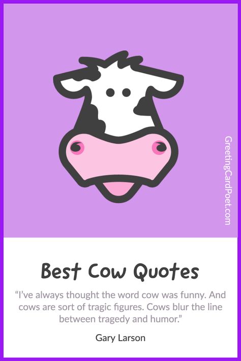 Cute Cow Quotes Cow Phrases, Advice From A Cow, Cow Love Quotes, Cow Quotes Country Living, Cow Captions, Funny Milk Quotes, Cow Instagram Captions, Cow Sayings Funny, Cute Cow Sayings