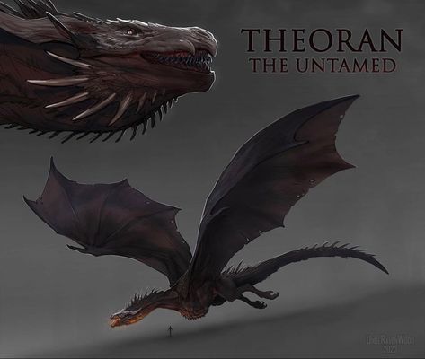 Got Dragon Oc, Wyvern Art, Wyvern Dragon, Rider Oc, Laena Velaryon, Types Of Dragons, Game Of Thrones Dragons, Got Dragons, Beast Creature