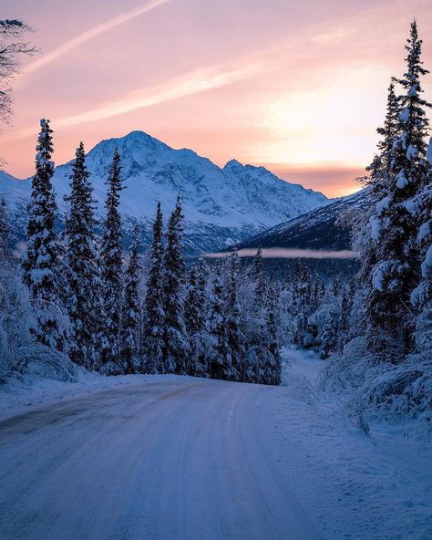 The Alaska Life on Instagram: “Our winter wonderland didn’t last long...who wants it back?! 📷: @photo_brenn ・・・ Snowwwww come baccckkkkkk #alaska #alaskan #thealaskalife…” Alaska City Aesthetic, Winter In Alaska, Alaska Astethic, Anchorage Alaska Aesthetic, Alaska Aesthetic Winter, Hoonah Alaska, Alaska In Winter, Alaska Honeymoon, Alaskan Landscape