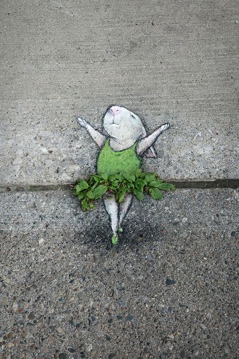 Street Chalk Art, Chalk Artist, David Zinn, Brick Art, Sidewalk Chalk Art, Sidewalk Art, Amazing Street Art, Chalk Drawings, Murals Street Art