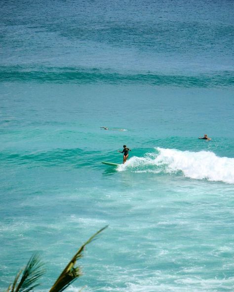 @veradewii_ dancing on small Bingin. 🐬🩵 #Bali #Bingin #BinginBeach Bingin Beach Bali, Surfing Bali, Surf Bali, Uluwatu Beach, Bingin Beach, Bali Summer, Bali Aesthetic, Bali Uluwatu, Bali Surf