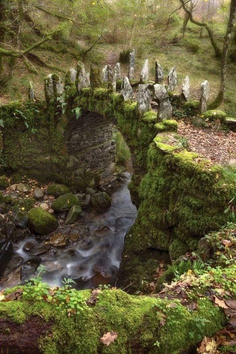 Fairy Bridge, Rachel Jones, Scotland Landscape, Scotland Forever, Mystical Places, Fantasy Life, Skye Scotland, Photography Workshops, Isle Of Skye