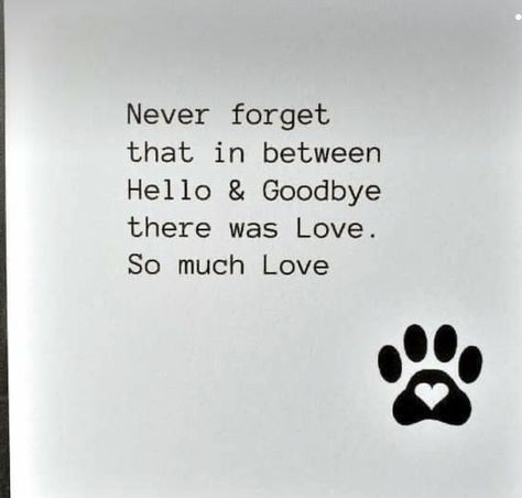 Small Love Quotes, Good Goodbye, Miss My Dog, Goodbye Quotes, Dog Quotes Love, Hello Goodbye, Cat Profile, Love Rainbow, Saying Goodbye