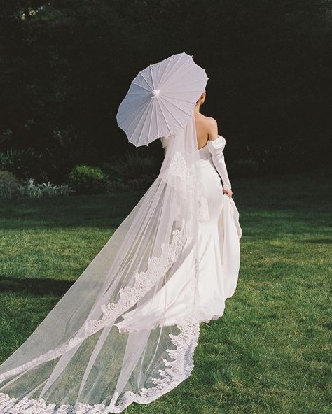 Anni Graham | The Madrona, a true hidden gem tucked away in wine country in Northern California. Nothing else quite like it. Can’t wait to finally share… | Instagram Veil Inspiration, Lace Cathedral Veil, Cathedral Length Veil, Bridal Styling, Wedding Sparrow, Korean Wedding, Party Inspo, The Modern Bride