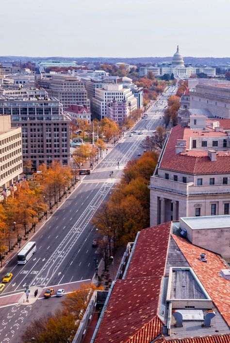 This photo was taken from an office building high above Pennsylvania Avenue in Washington, DC. From this vantage point, you can see a long stretch of Pennsylvania Avenue that leads directly to the US Capitol Building. I took this photo on an autumn day and the fall leaves area very visible and vibrant along the street. Rooftops are clearly seen. This photo features a very prominent street in the District of Columbia. This photo comes in various standard sizes and is printed on archival paper. Co Washington Dc Aesthetic, Us Capitol Building, Washington Dc City, Washington Dc Art, Image Aesthetic, Patriotic Wall Decor, Dc Monuments, Usa Street, City Ideas