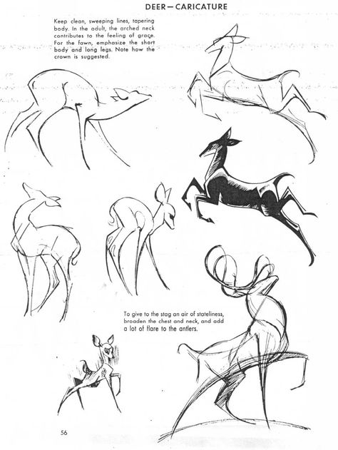 Deer Antler Reference, Deer Character, Deer Reference, Drawing Construction, Deer Drawing, Drawing Hands, Animal Study, Drawing Faces, Deer Art