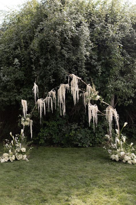 Hanging Amaranthus wedding ceremony vow arch with Calla Lilies and Agrostemma bases. Green and white, clean romantic dreamy wedding aesthetic Hanging Amaranthus Wedding Arch, Amaranthus Wedding Arch, Alters Wedding, Hanging Amaranthus Wedding, Wedding Arch Tree, Gothic Wedding Arch, Whimsical Wedding Arch, Wedding Arch Modern, Unique Wedding Arch