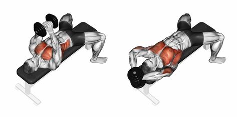 Dumbbell Pullover Muscles Worked Dumbbell Pullover, Pullover Workout, Pull Day Workout, Gym Workout Guide, Gym Antrenmanları, Trening Fitness, Chest Muscles, Gym Essentials, Chest Workouts