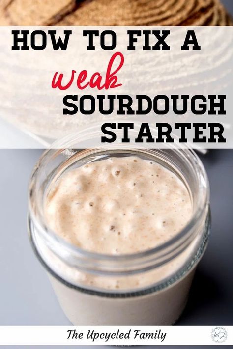 Best Sourdough Starter Recipe, Easy Sourdough Bread Recipe, Recipe Using Sourdough Starter, Sourdough Pizza Crust, Sourdough Bread Starter, Dough Starter, Sourdough Starter Discard Recipe, Homemade Sourdough Bread, Bread Starter