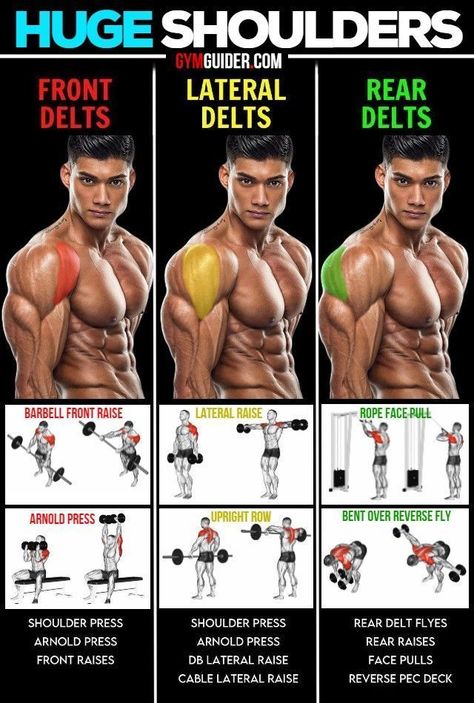 Shoulder Workout At Home, Deltoid Workout, Shoulder Gym, Shoulder Workout Routine, Shoulder Workouts, Best Shoulder Workout, Trening Sztuk Walki, Bodybuilding Workout Plan, Workout Routine For Men