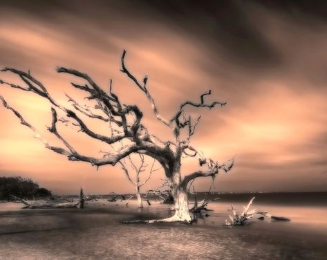 10 Dark Relaxing Wallpaper for Smartphones, INSTANT DOWNLOAD, Screensaver, Desktop Background - Etsy Ocean Clouds, Seascape Photography, Driftwood Beach, Live Oak Trees, 16x20 Frame, Jekyll Island, Low Country, Colour Photograph, The Low