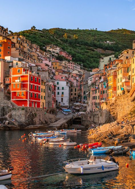 Do you have one day in Cinque Terre? I have prepared a Cinque Terre itinerary for one day with useful travel tips to make the most of it. Cinque Terre Itinerary, Riomaggiore Cinque Terre Italy, Riomaggiore Italy, Cinque Terra, Italy Restaurant, Italy Travel Photography, Cinque Terre Italy, Italy Map, Italy Photography