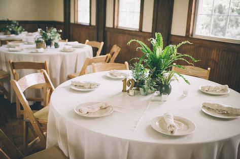 Fabric Centerpiece Wedding, Houseplants As Centerpieces, Potted Plants Wedding Centerpiece Table Decorations, Potted Plant Wedding Ceremony Decor, House Plant Table Centerpiece, Snake Plant Centerpiece Wedding, Potted Plants For Centerpieces, Plant Wedding Table Decor, Pothos Plant Centerpieces Wedding